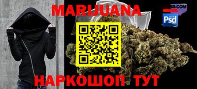 ГАЛЛЮЦИНОГЕННЫЕ ГРИБЫ Кандалакша