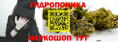 ГАЛЛЮЦИНОГЕННЫЕ ГРИБЫ Кандалакша